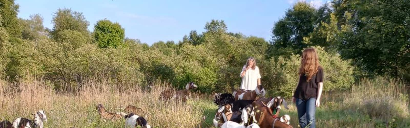 Herb Walk with Goats