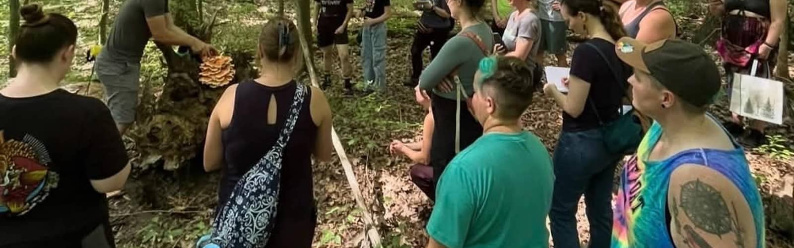 Wild Food Foraging & Wild Tending Class