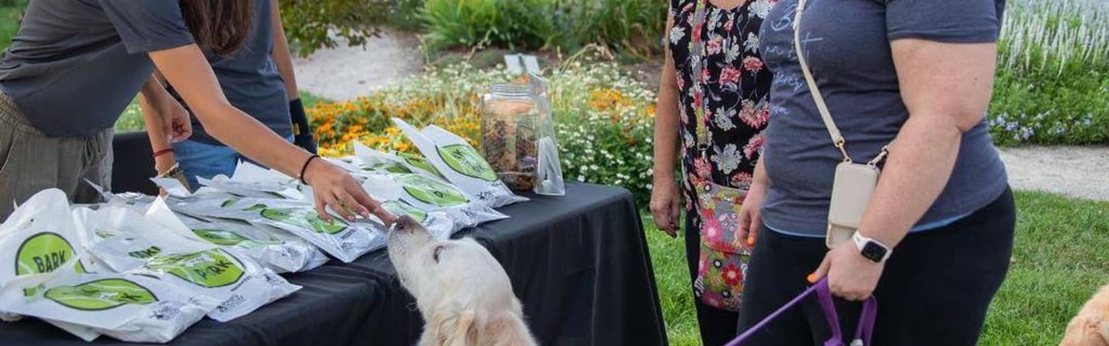 Bark in the Park
