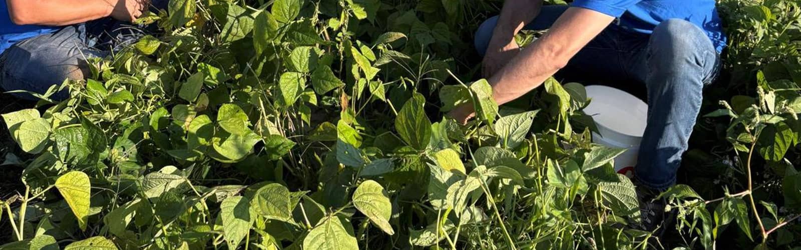 Weekly Monday Farm Volunteer