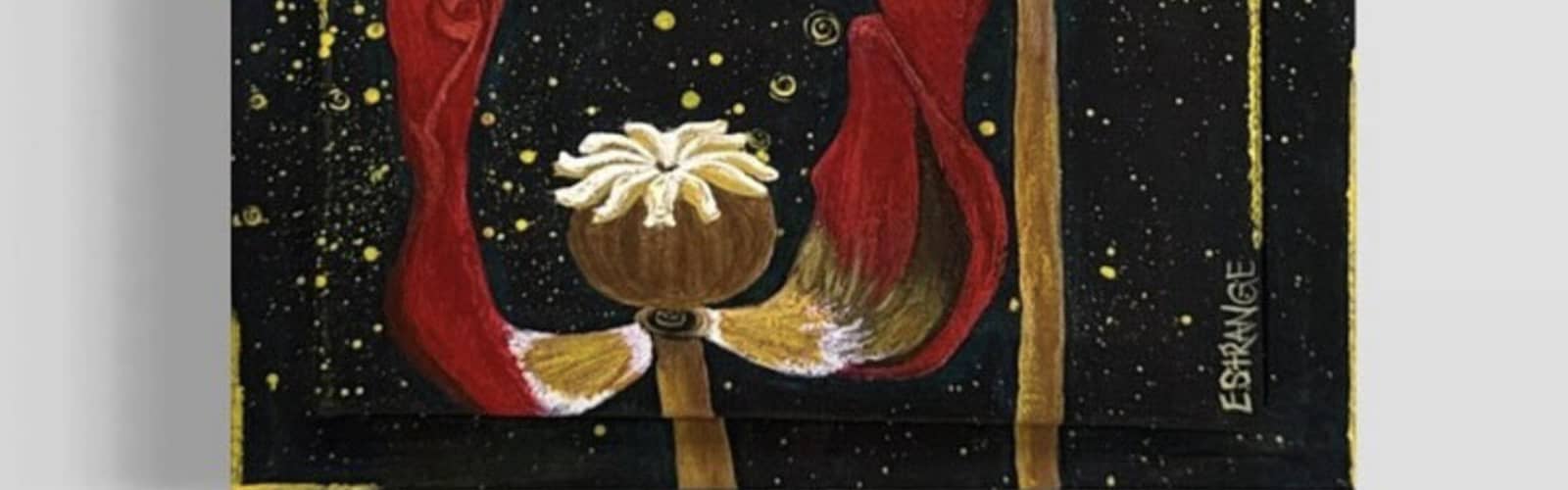 Artist-guided gallery tour with Emily Strange