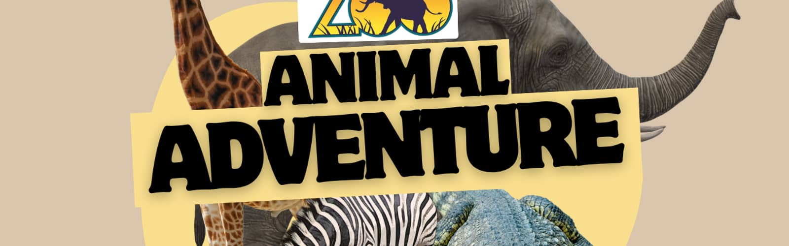 Animal Adventure with NC Zoo
