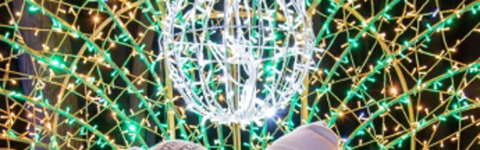 Wild Lights Zoo Years Eve