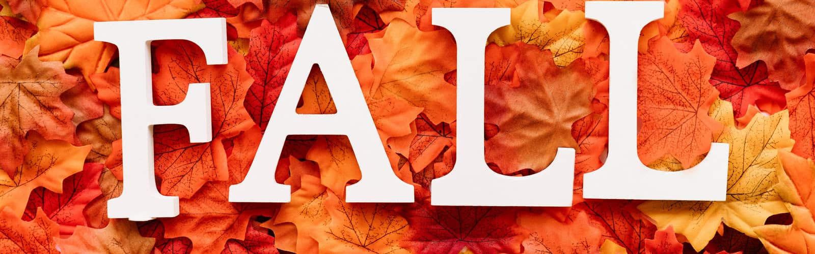 L is for Lovely Leaves