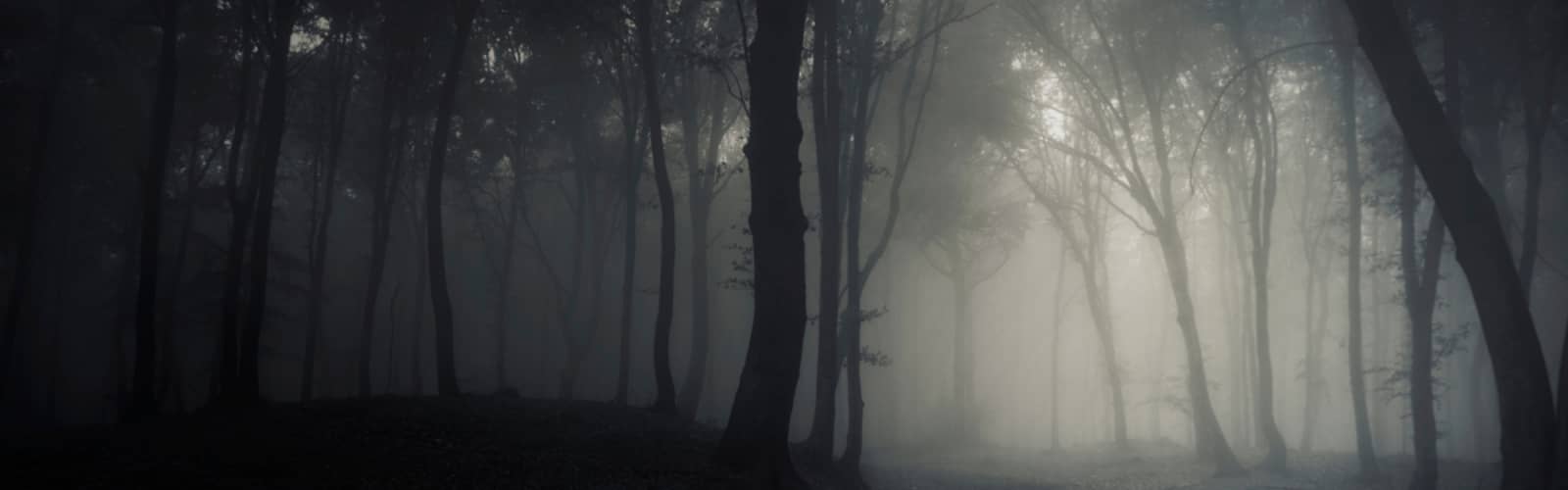 The Haunted Forest 2026