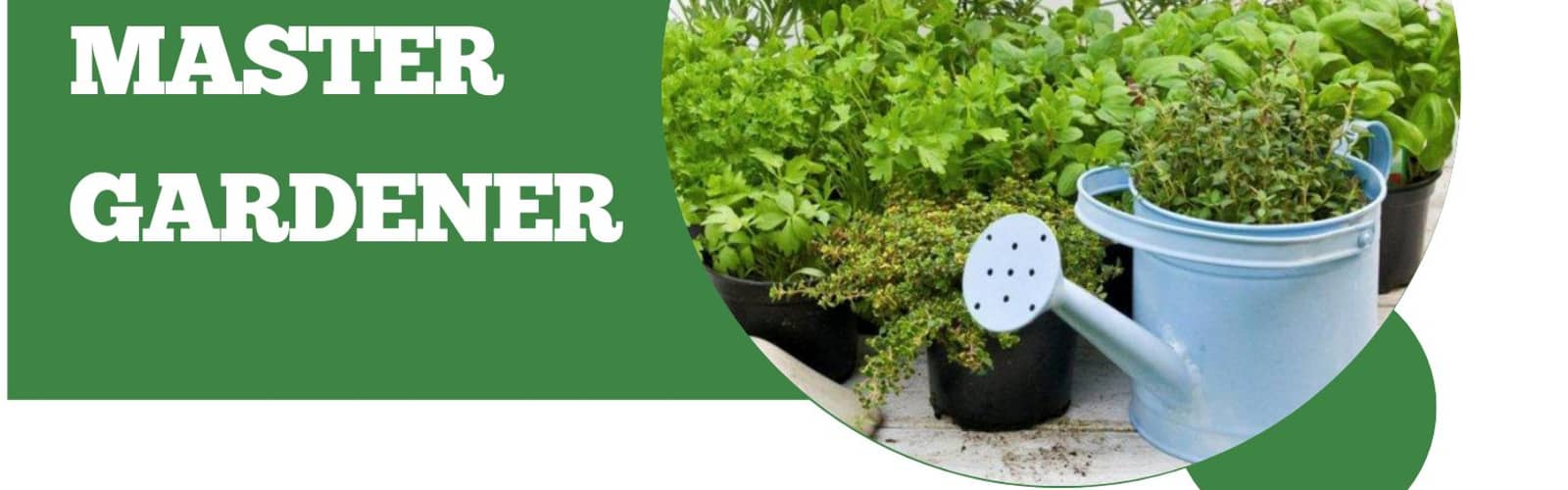 Ask a Master Gardener