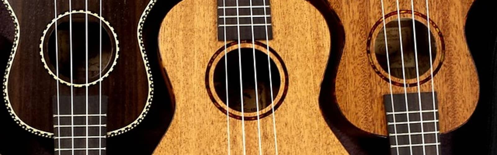 Ukulele for Beginners