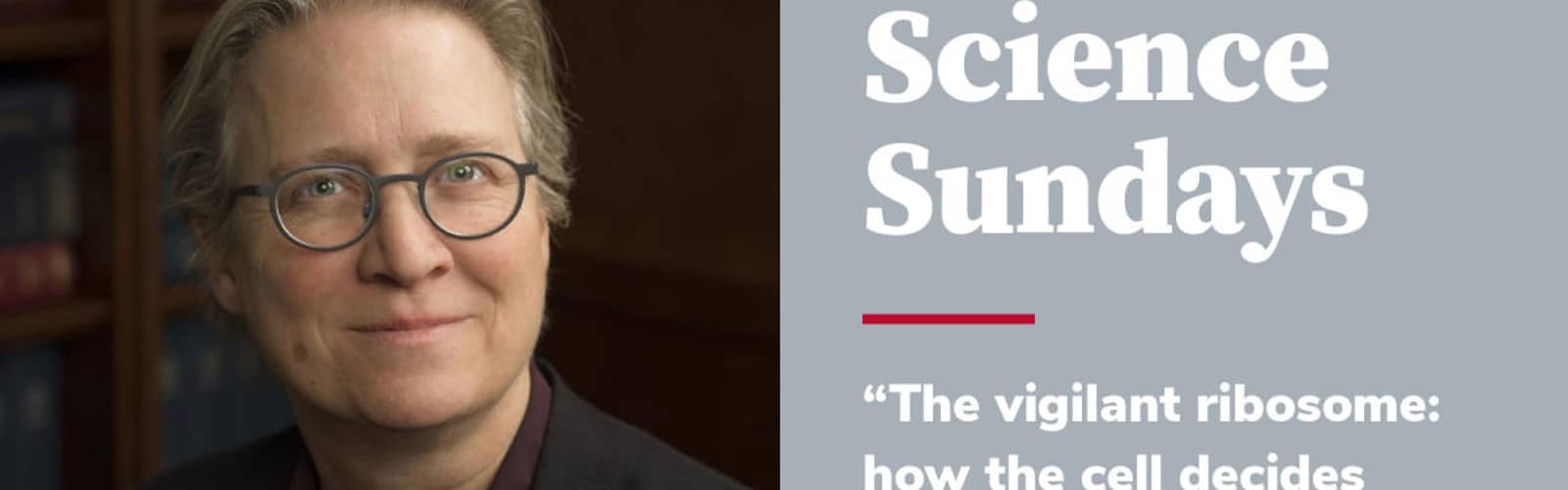 Science Sundays: "The vigilant ribosome: how the cell decides when to live or die"