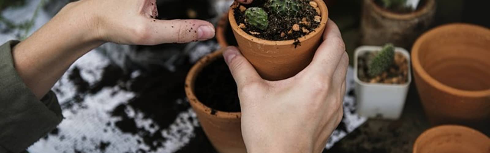 Container Gardening