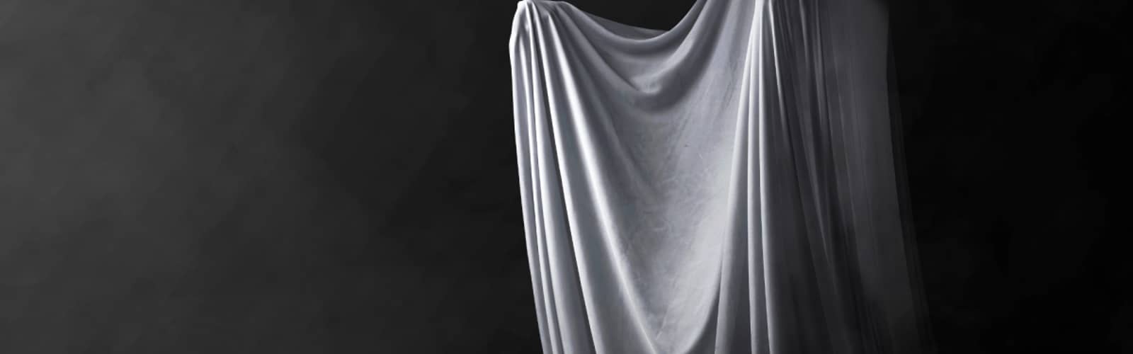 Ghost Light: A Historic and Haunted Tour of the Grand Rapids Civic Theatre