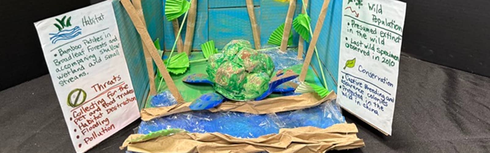 Kids Green Art Contest