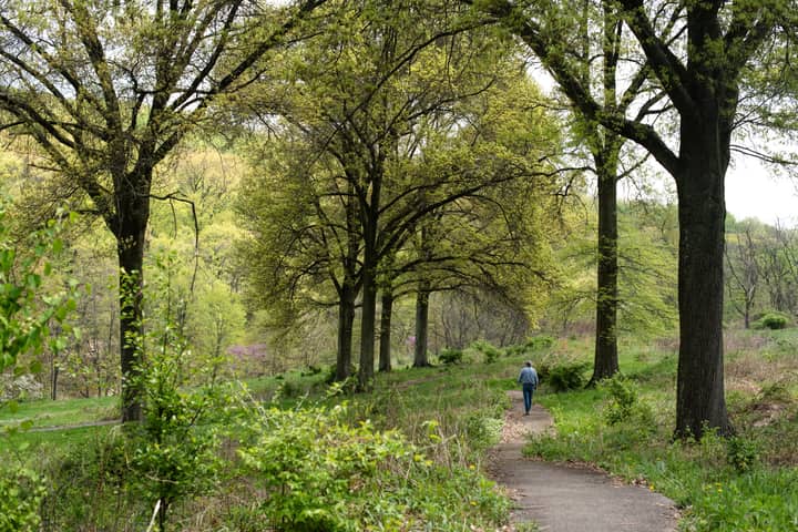 Virtual Public Info Session: Restoring Churchill Valley Greenway