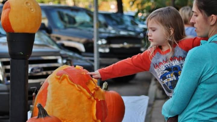 Fall Fest 2026