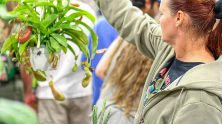 Botanical Soiree Ohio Plant Show