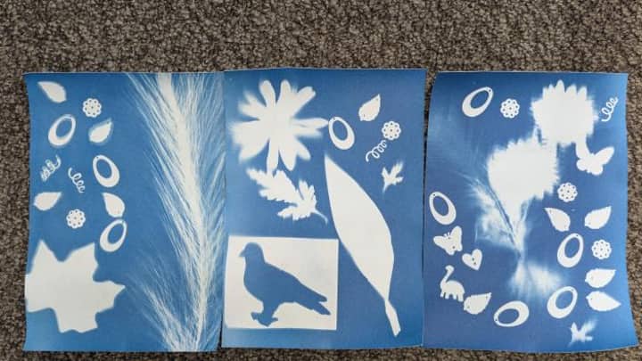 All About Art for Elementary Students: History of Cyanotypes