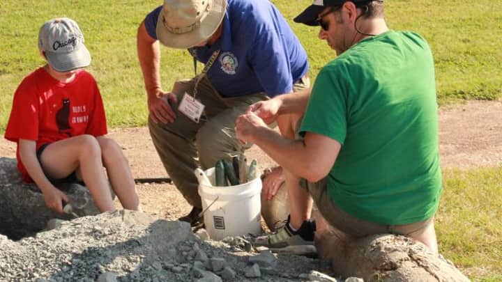 Dig Our Collecting Piles!