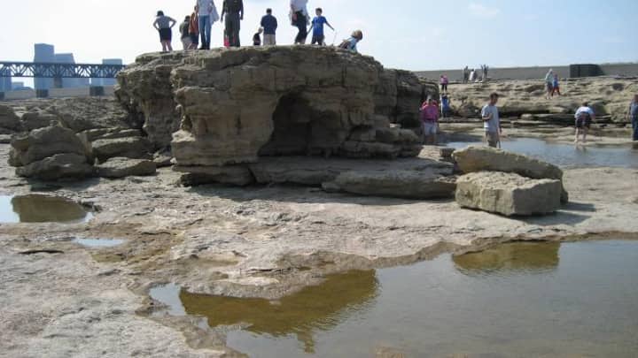 Outer Fossil bed Hike!
