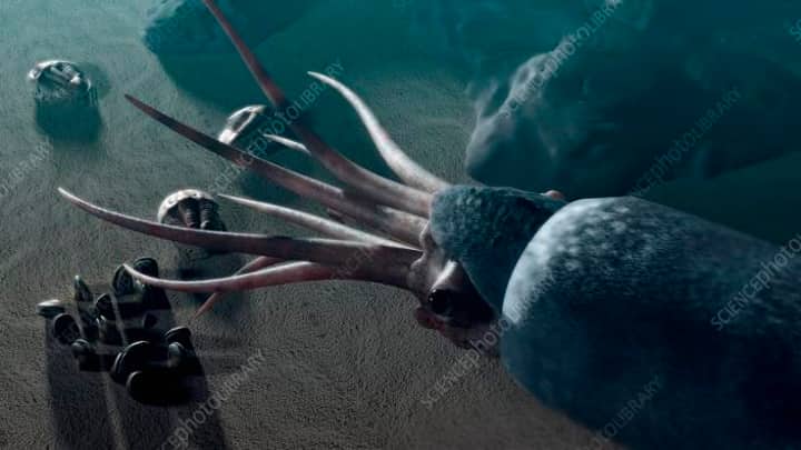 Predation of the Devonian Ocean