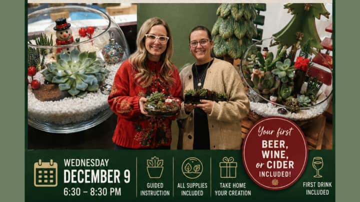 Relax Before the Holidays: Build Your Own Succulent Terrarium