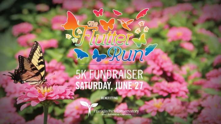 The Flutter Run