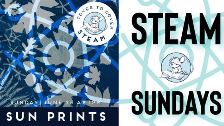 STEAM Sundays: Sun Prints