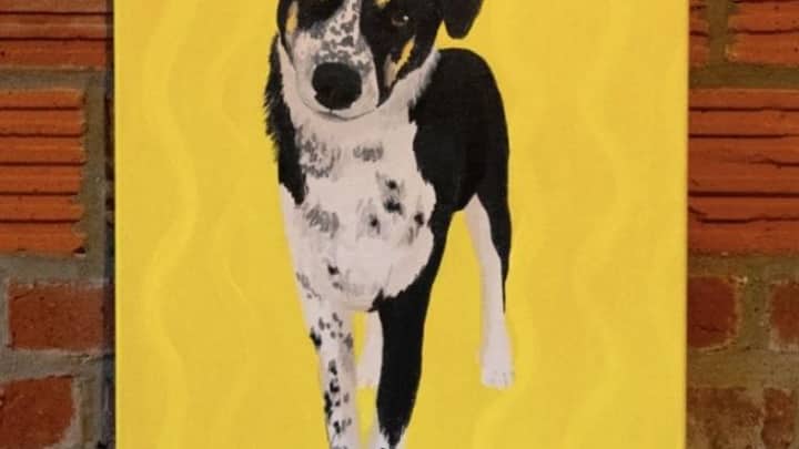 "Paint Your Pet" Portrait Painting