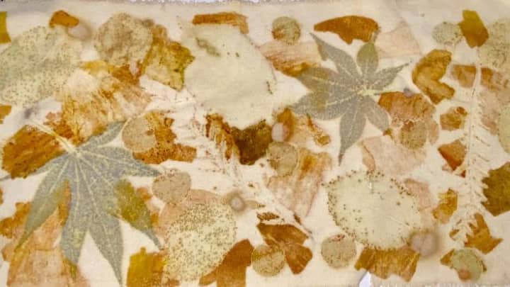 Botanical Print Scarf Workshop