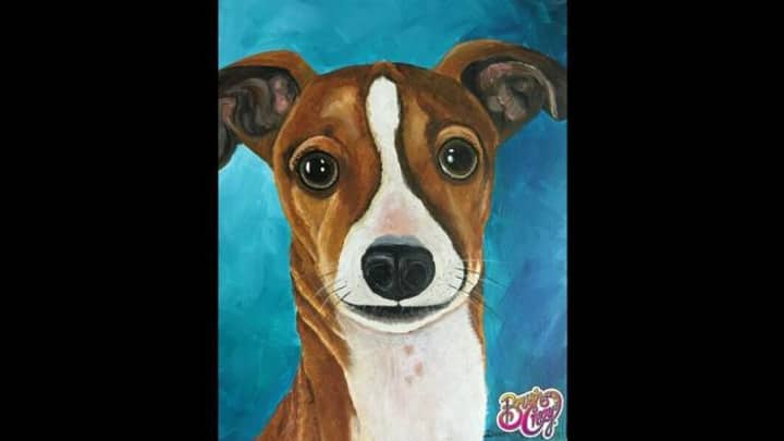 Paint Your Pet