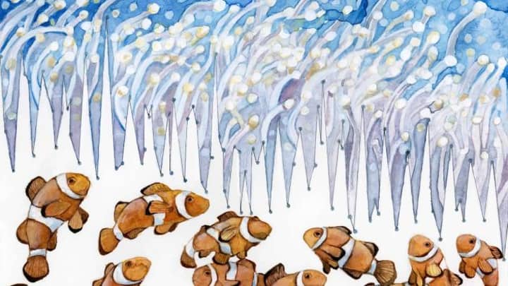 Jill Pelto Artist Talk