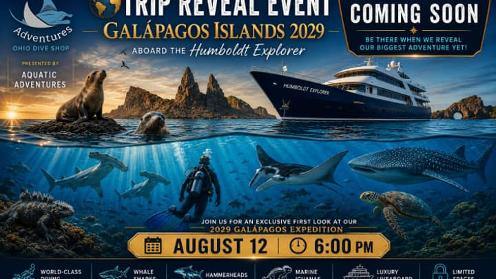 Galapagos-Reveal