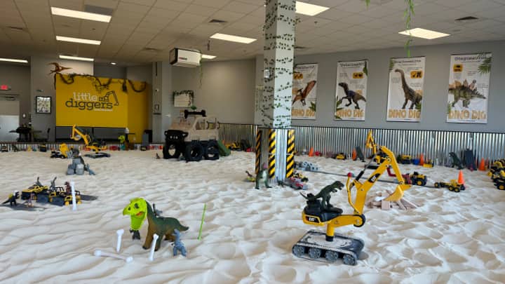 Dino Dig
