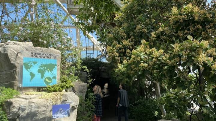 Biome Bonanza: Scents of the Himalayas