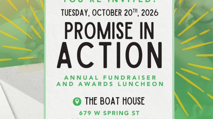 Promise in Action Annual Fundraiser and Awards Luncheon