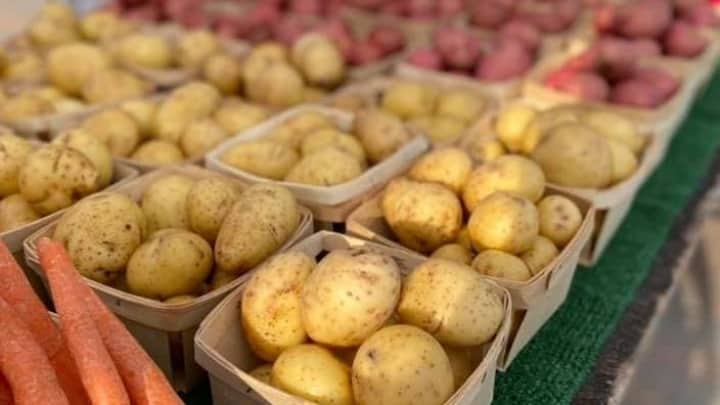 Holland Farmers Market
