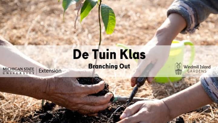 De Tuin Klas: Branching Out