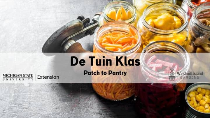 De Tuin Klas: Patch to Pantry