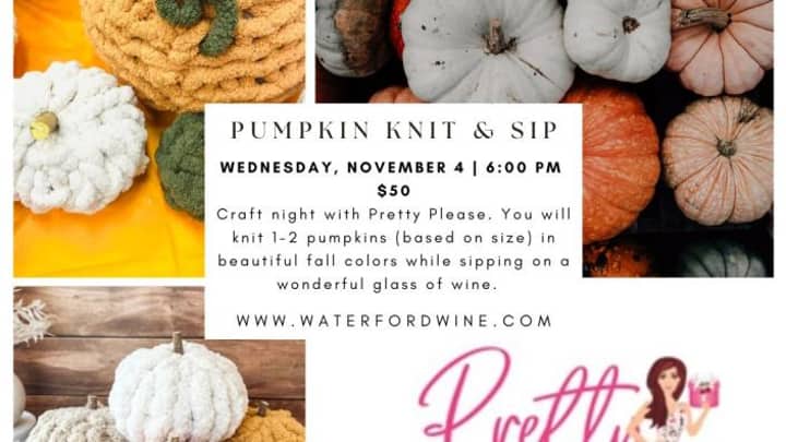 Knit & Sip: Knitted Pumpkins with Pretty Please