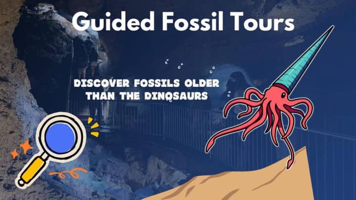 Guided Fossil Tour