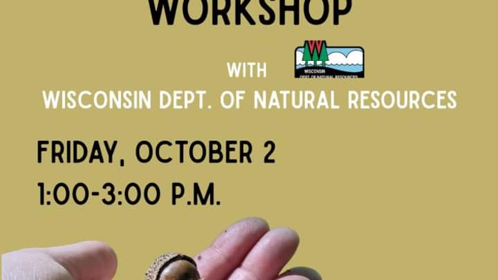 Acorn Collecting Workshop at the Forest Exploration Center