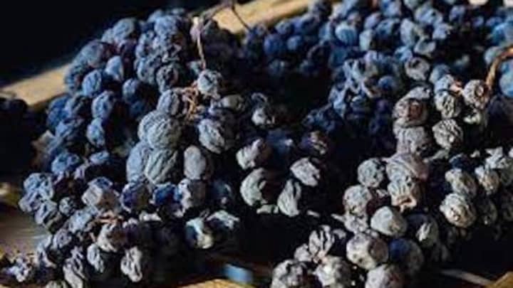 Raisins Into Gold: Amarone