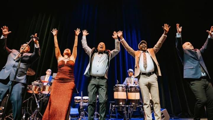 Buena Vista Orchestra