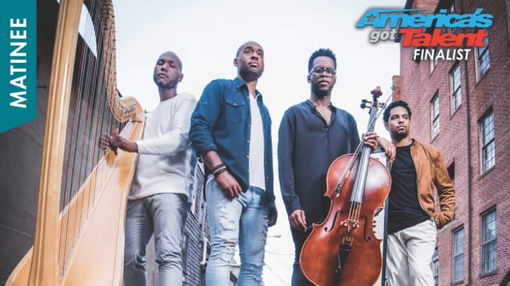 Sons of Serendip: Christmas Beyond the Lights