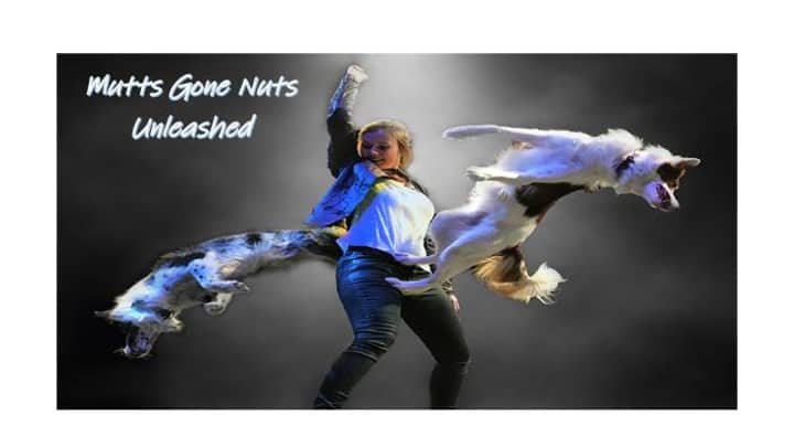 Mutts Gone Nuts - Unleashed