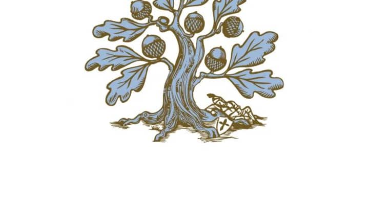 Haut Couture in Viticulture: Chene Bleu Winery Visit