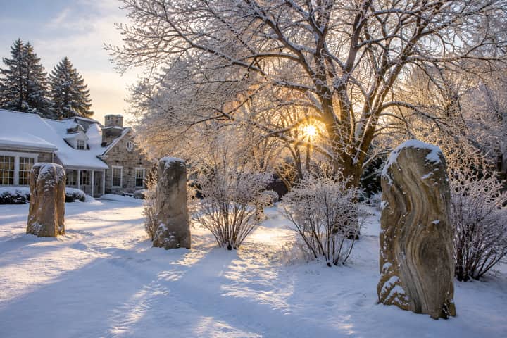 Winter Solstice Forest Bathing