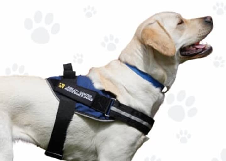 Assistance Dogs Fall Graduation