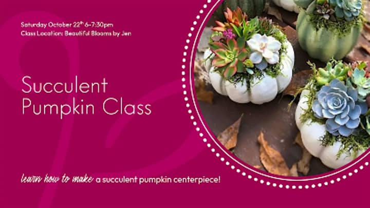 Succulent Pumpkin Class