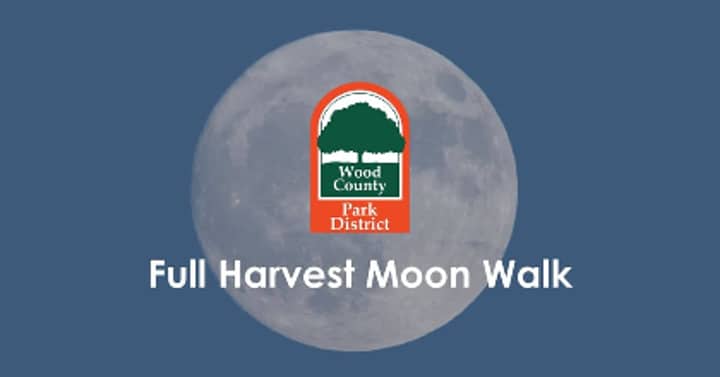 Full Harvest Moon Walk