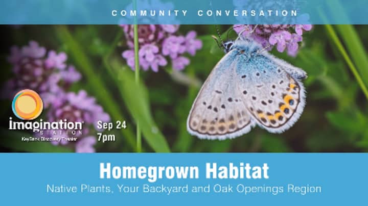 Homegrown Habitat: Community Conversation