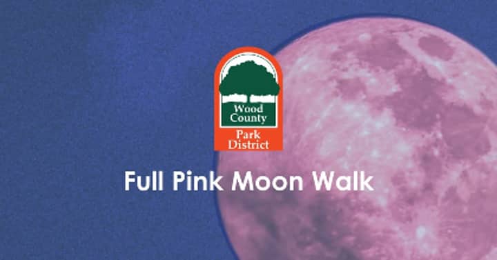 Full Strawberry Moon Walk